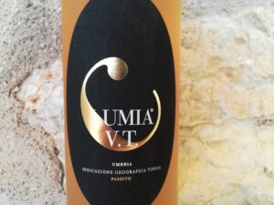 LUMIA VT - IGT Umbria Passito - Økologisk